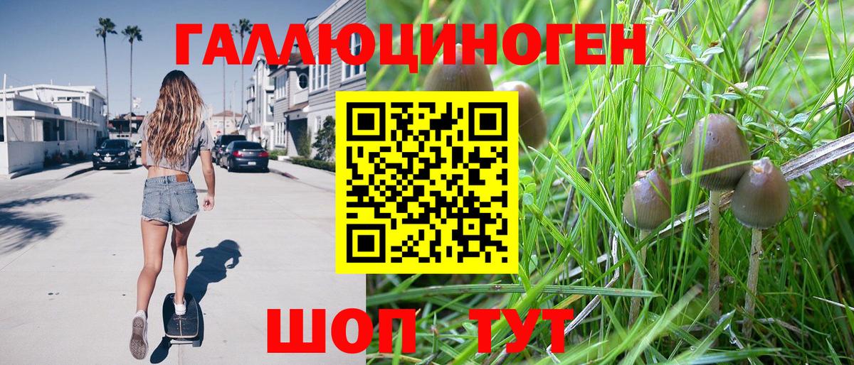 Псилоцибиновые грибы прущие грибы  купить наркотики сайты  Троицк  Вход с VPN 